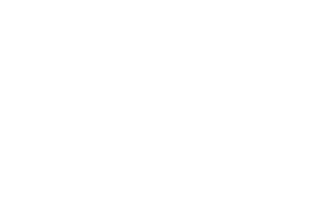 Shop POS Portal Logo