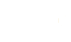 VersaPay Logo